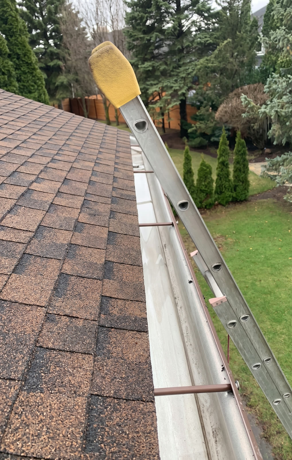 A clean, empty gutter along a shingled roofline after cleaning